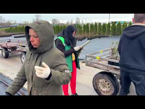 Строим питомник растений