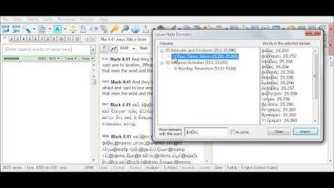 Searching for Words with Related Meaning with a Command Line Semantic Domain Search