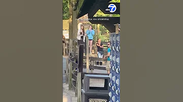 Camels Run Around Amusement Park After Breaking Out Of Enclosure 
