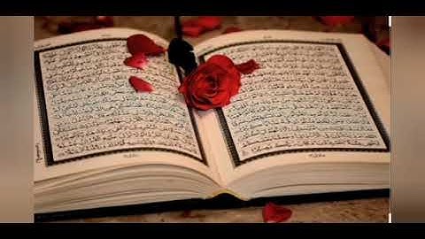من أجمل الأصوات الشيخ نعمه الحسان سورة القصص