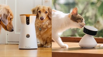 Best Pet Cameras (2026) | Treat Tossers, 360° View & AI Tracking!
