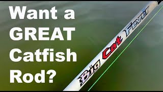 Are You Looking for a GREAT CATFISH ROD?