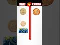 ROTI vs PIZZA comparison chellenge 💯 #youtubeshorts #shorts #facts #trending
