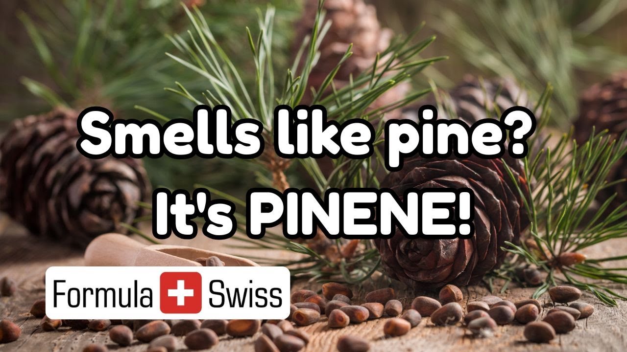 The magic of pinene: Nature’s aromatic wonder