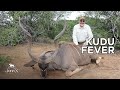 Kudu fever  jeff  kelly walls  john x safaris