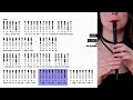 Middle of video