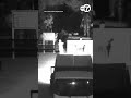 San Jose police release new video showing theft of Vietnamese memorial statue at community garden