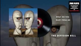 Pink Floyd - What Do You Want From Me (The Division Bell 30th Anniversary  Audio)