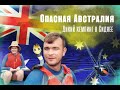 Опасная Австралия.Дикий кемпинг в Сиднее