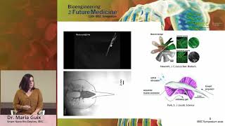 IBEC Symposium 2020 - Maria Guix - Flash Presentation