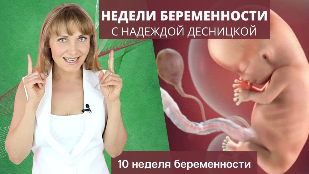 10 неделя беременности ощущения в животе. 10 недель беременности фото ребенка. как выглядит ребёнок в 10 недель в животе.