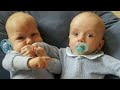 😚Funniest Twins Baby Videos that will make your whole day happy!