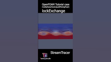OpenFOAM CFD Tutorial case: lockExchange StreamTracer - #fluiddynamics #fluidmechanics