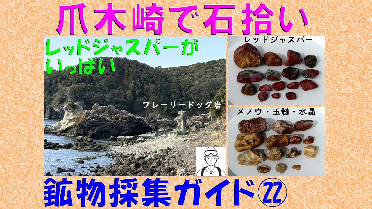 鉱物の部屋74 爪木崎で石拾い