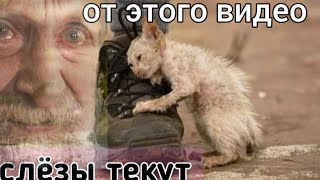 ОТ ЭТОГО ВИДЕО ЗАМИРАЕТ СЕРДЦЕ 💓И ТЕКУТ СЛЁЗЫ😢#СПАСЕНИЕЖИВОТНЫХ