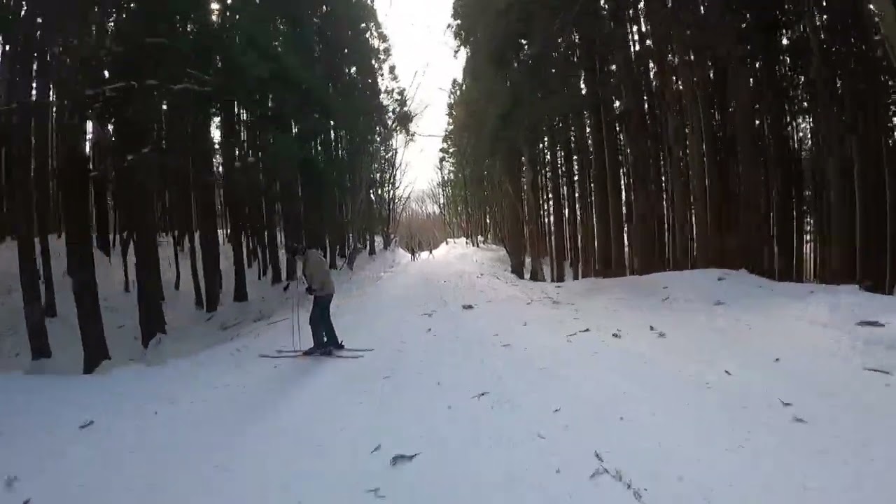 【2022年12月29日ハチ高原スキー場ハチハイランドコース～林間コース】