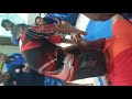 Repo pinggul Penabur