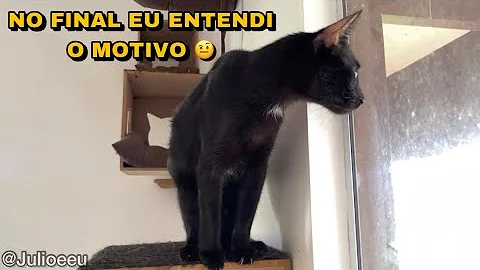 E no final a gente descobre o motivo da preocupao ...