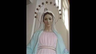 Mother Mary, Pray for Us! by 206 Tours 1,641 views 3 years ago 1 minute, 1 second