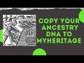 Fish in More Ponds - Transfer Your Ancestry DNA to MyHeritage