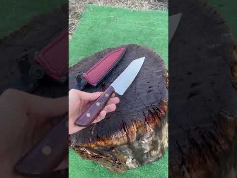Шикарный Шеф