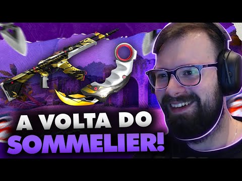 A MELHOR FINALIZAÇÃO DO JOGO? O SOMMELIER DE SKINS AVALIA A NOVA COLEÇÃO CHAMPIONS 2021!