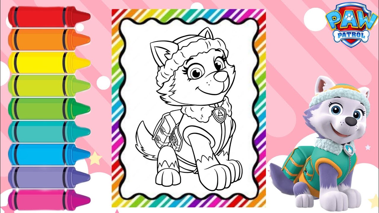 🖍️ PAW Patrol Zuma - Printable Coloring Page for Free 