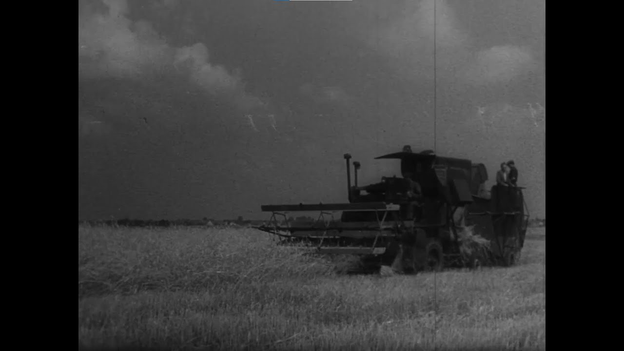 Żniwa 9 lat po wojnie -   Radziecki kombajn S-4 - 1954