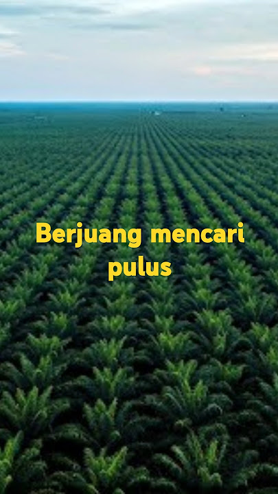 Pekerja keras sekeras pelepah nya #kesuksesan #bangkitkan #bangkit #bangkitlah #kebahagiaan