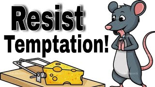 Catching the Most Clever Mouse