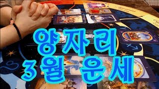 타로 3월 양자리운세 양력 3.21 ~ 4.20 출생 타로카드 타로상담 타로운세 연애운 타로점