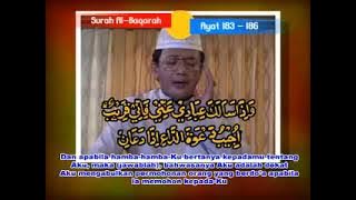 Story wa qiro'at kh muammar za surat al baqarah ayat 183-186