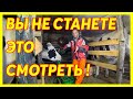 ВЫ НЕ СТАНЕТЕ ЭТО СМОТРЕТЬ!!! Достроили коровник #5