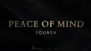 Download Lagu Squash - Peace of Mind Official Music Video MP3 Download Lagu Squash - Peace of Mind Official Music Video MP3