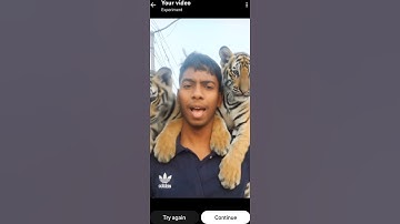 tutorial Leopard leap filter 🤩💀 #leopard #leap #filter #moneylove #funny #trending