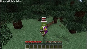 Minecraft 1.8.1 - Cloaks and More Accessories Mod