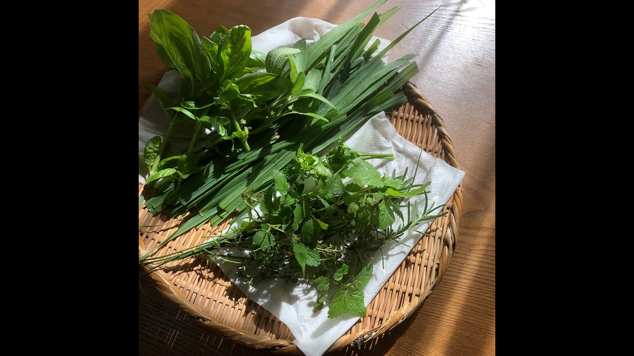 レモングラスの活用方法 レモングラスを収穫したら Youtube