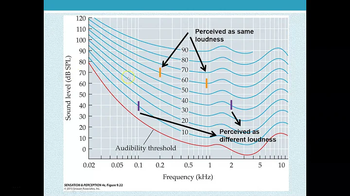 Sensation and Perception: The Auditory System