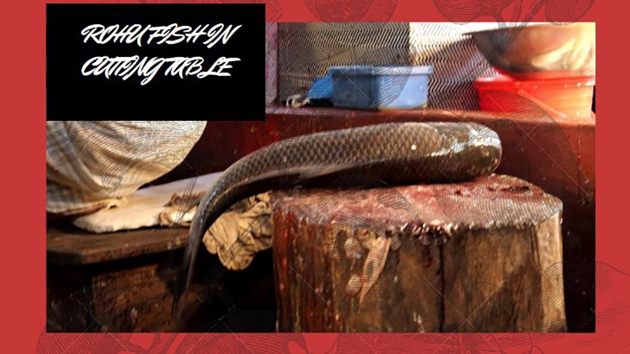 Fish Cutting Knife is important tool to cut any fish smoothly. Cutting