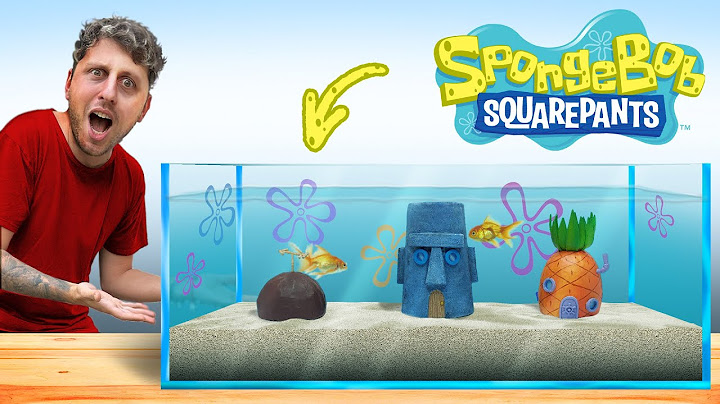 COSTRUISCO L'ACQUARIO DI SPONGEBOB