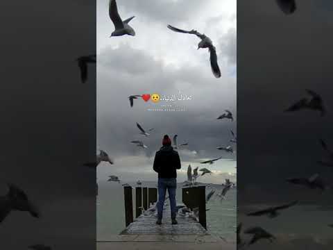 يارب قلبي لم يعد كافيا إلقاء القصيدة كاظم الساهر حالات وستوريات واتس اب انستا مع الكلمات