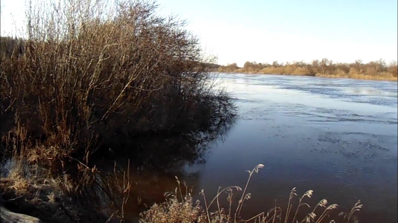 Какой уровень клязьмы в коврове