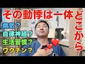 相談の多い動悸のお話し。ワクチン?病気?それとも他の原因?