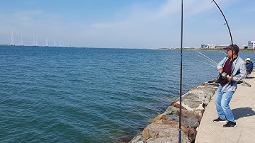 Ông chú người hàn câu được ( cá mập ) tại biển hàn quốc ???