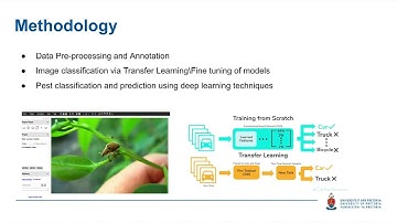 MIT808 2023 G9: Insect Pest Classification and Detection using  Deep Learning techniques