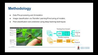 MIT808 2023 G9: Insect Pest Classification and Detection using  Deep Learning techniques