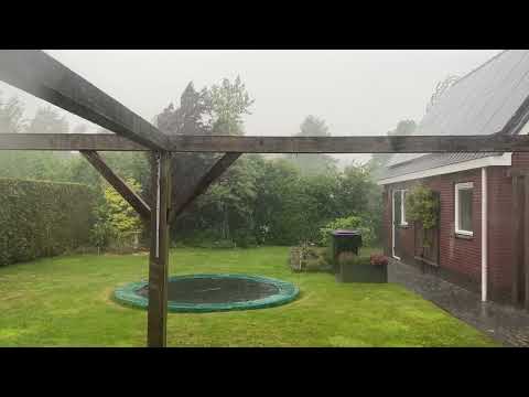 regen