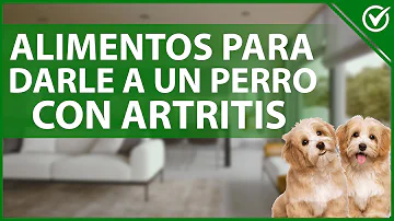 ¿Qué alimentos agravan la artritis en los perros?