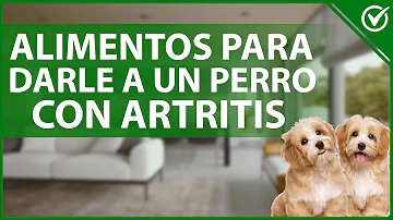 ¿Qué alimentos ayudan a los perros con dolor articular?