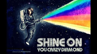Shine On You Crazy Diamond (I-V) - Pink Floyd (Visualization)